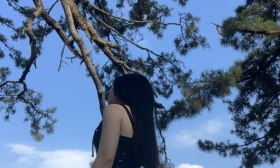 Trần Điền Điền